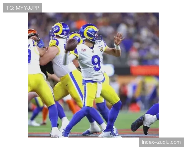 公羊老将斯塔福德宝刀未老 单场四次达阵率队稳居国联前列